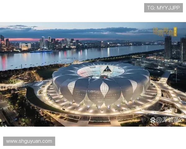 杭州街舞队在攀岩联赛中的崛起与成长历程全景揭秘