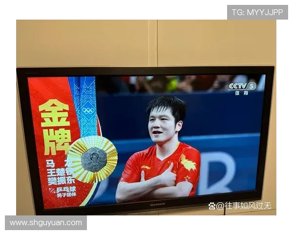 聚焦乒乓球：探讨北京乒乓球队的实力与发展潜力